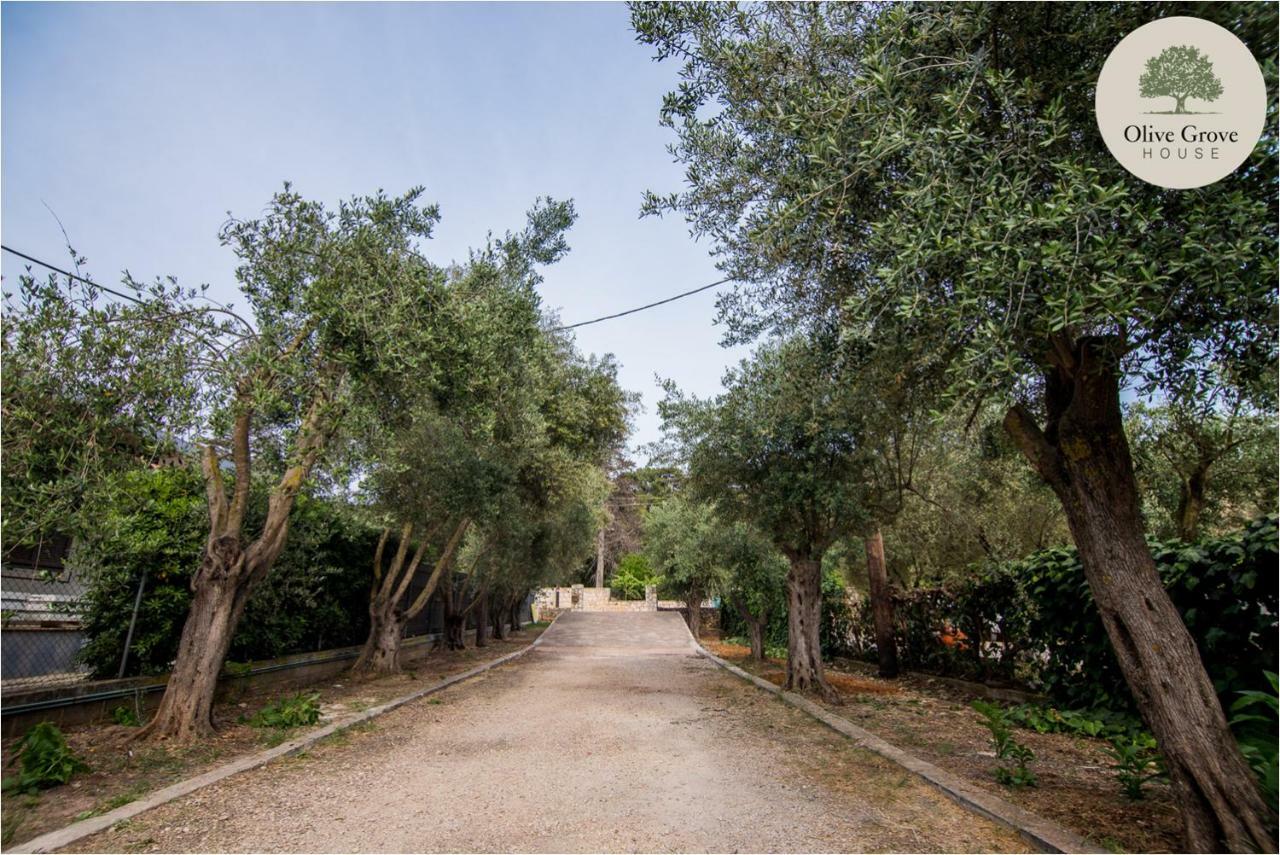 アルゴストリオン Olive Grove Houseヴィラ エクステリア 写真