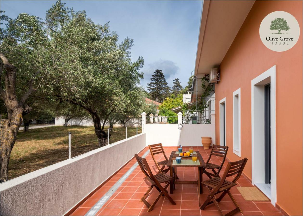 アルゴストリオン Olive Grove Houseヴィラ エクステリア 写真